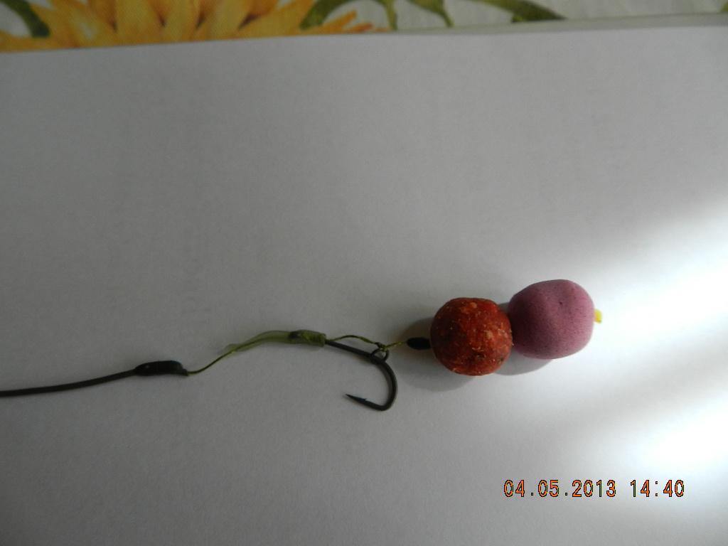 rig& baits !! - dscn1328.JPG